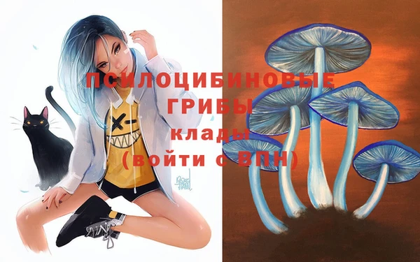 прущая мука Алексин