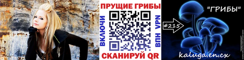 Галлюциногенные грибы Psilocybe  кракен маркетплейс  Шелехов  хочу  